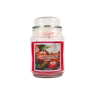 True Living Jar Candle 18oz Assorted