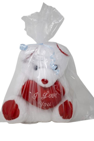 Valentine Teddy Bear