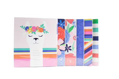 Happy Go Lucky 1 Vinyl Binder Parent PDQ