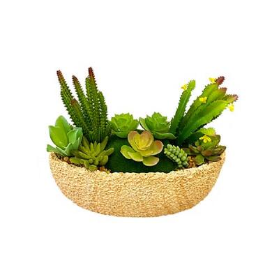 Plastic Succulent Plant In Cream Melamine Pot