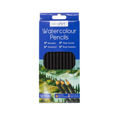 Work Of Art Watercolour Pencils 12 ct