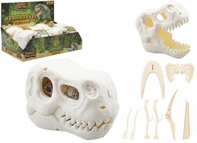 Dino Fossil Skeleton Diy Skull Case 6pc