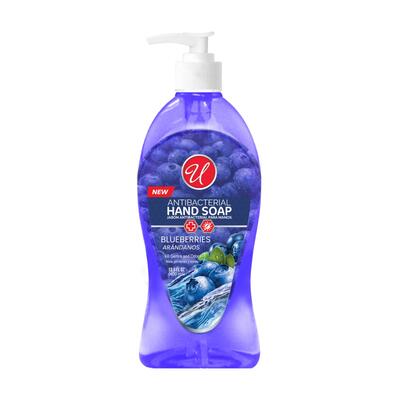 Anti-Bacterial Hand Soap Blueberries 13.5oz