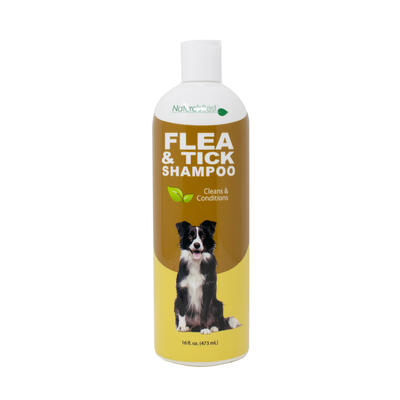 Nature Best Flea & Tick Shampoo 16oz