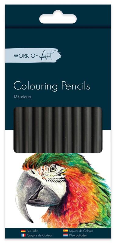 Work Of Art Colouring Pencils 12ct