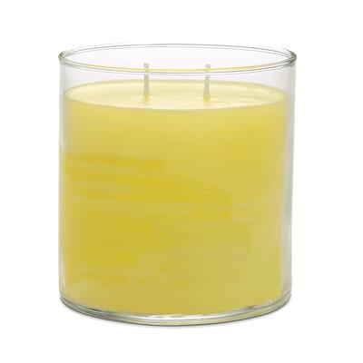 GloLite Wild Lemongrass Citronella Jar Candle 15.5oz