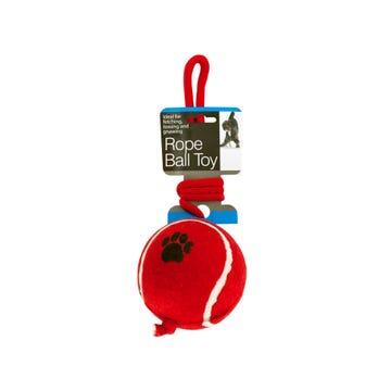 Jumbo Tennis Ball with Rope Do